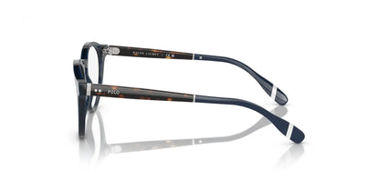 Polo PH2268 Eyeglasses | Size 49