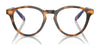Polo PH2268 Eyeglasses / Shiny Black №5523 / Size 49