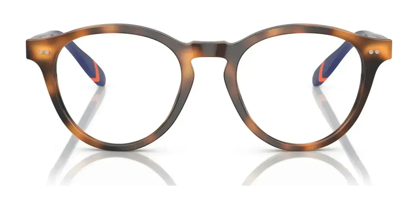 Polo PH2268 Eyeglasses | Size 49