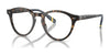 Polo PH2268F Eyeglasses | Size 49 / Shiny Dark Havana №5003