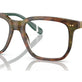 Shiny Brown Tortoise №5017