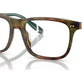 Shiny Brown Tortoise №5017