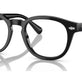 Shiny Black №5001