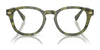 Polo PH2272 Eyeglasses / Shiny Transparent Navy Blue №5470 / Size 50