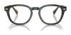 Polo PH2272 Eyeglasses / Shiny Transparent Navy Blue №5470 / Size 50
