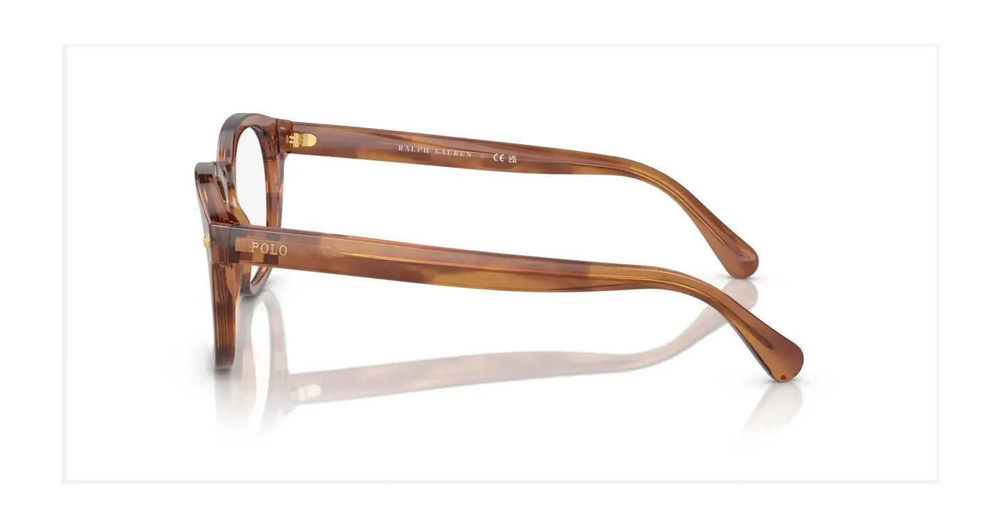 Polo PH2272 Eyeglasses | Size 50