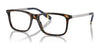 Polo PH2273F Eyeglasses | Size 54 / Shiny Dark Havana №5003