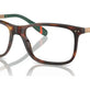 Shiny Brown Tortoise №6137