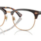 Shiny Brown Tortoise №6137