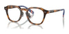 Polo PH2278D Eyeglasses | Size 49 / Shiny Red Havana №6089