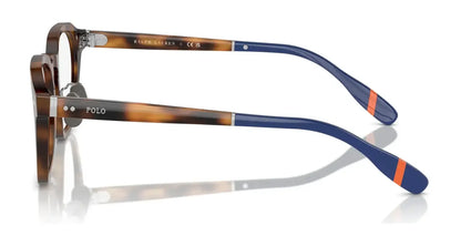 Polo PH2278D Eyeglasses | Size 49