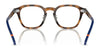 Polo PH2278D Eyeglasses | Size 49 / Shiny Havana №5003