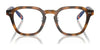 Polo PH2278D Eyeglasses | Size 49 / Shiny Havana №5003