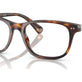 Shiny Brown Tortoise №6137