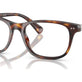 Shiny Brown Tortoise №6137