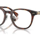 Shiny Brown Tortoise №6137