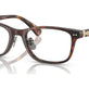 Shiny Brown Tortoise №6137