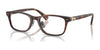 Polo PH2286D Eyeglasses | Size 53 / Shiny Brown Tortoise №6137