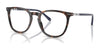 Polo PH2288 Eyeglasses / Shiny Havana №5003 / Size 51