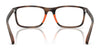 Polo PH2291U Eyeglasses / Matte Black №5504 / Size 55