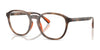 Polo PH2292U Eyeglasses / Shiny Dark Havana №5974 / Size 51