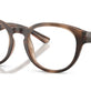 Shiny Dark Havana №6070