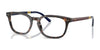 Polo PH2294 Eyeglasses / Shiny Dark Havana №5003 / Size 51
