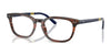 Polo PH2294 Eyeglasses / Shiny Striped Brown №6315 / Size 51