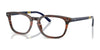 Polo PH2294F Eyeglasses | Size 51 / Shiny Striped Brown №6315