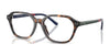 Polo PH2295U Eyeglasses / Shiny Dark Havana №5003 / Size 53