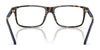 Polo PH2296 Eyeglasses / Shiny Dark Havana №5003 / Size 55