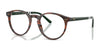 Polo PH2297 Eyeglasses / Shiny Striped Brown №6315 / Size 48
