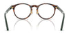Polo PH2297F Eyeglasses | Size 48 / Shiny Black №5001