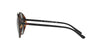 Polo PH3103 Sunglasses / Matte Black №903887 / Dark Gray (3N 9.9%) / Size 53