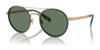 Polo PH3150 Sunglasses | Size 53 / Green/Antique Gold / Green (2N 19.6%) №944971