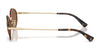 Polo PH3162 Sunglasses | Size 53 / Semishiny Black / Dark Purple (2N 20%) №93047N