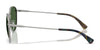 Polo PH3163 Sunglasses | Size 53 / Semishiny Gunmetal / Bottle Green (3N 9.7%) №926671