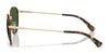 Polo PH3163 Sunglasses | Size 53 / Semishiny Gunmetal / Bottle Green (3N 9.7%) №926671