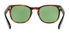Polo PH4099 Sunglasses | Size 52 / Shiny Jerry Havana №56742 / Vintage Green (2N 36.6%)