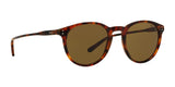 Polo PH4110 Sunglasses | Size 50