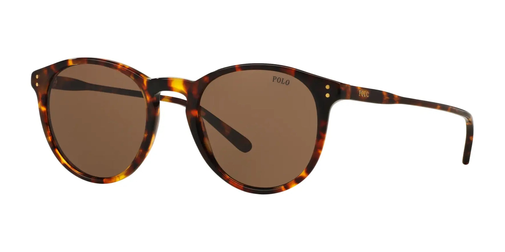 Polo PH4110 Sunglasses Havana / Brown