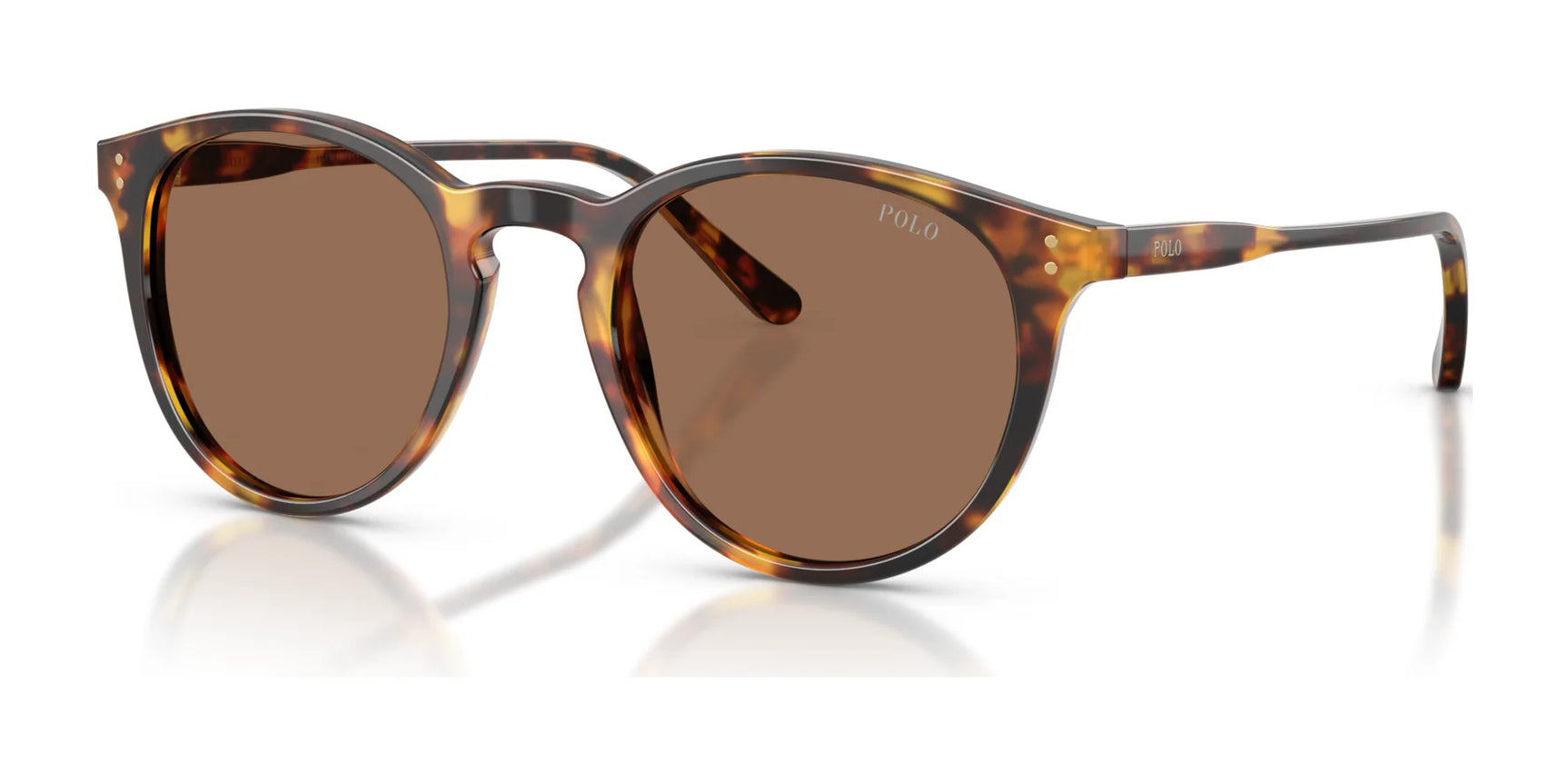 Polo PH4110 Sunglasses Havana / Brown
