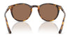 Polo PH4110 Sunglasses | Size 50 / Havana / Brown (3N 14.5%) №513473