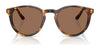 Polo PH4110 Sunglasses | Size 50 / Havana / Brown (3N 14.5%) №513473