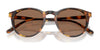 Polo PH4110 Sunglasses | Size 50 / Havana / Brown (3N 14.5%) №513473