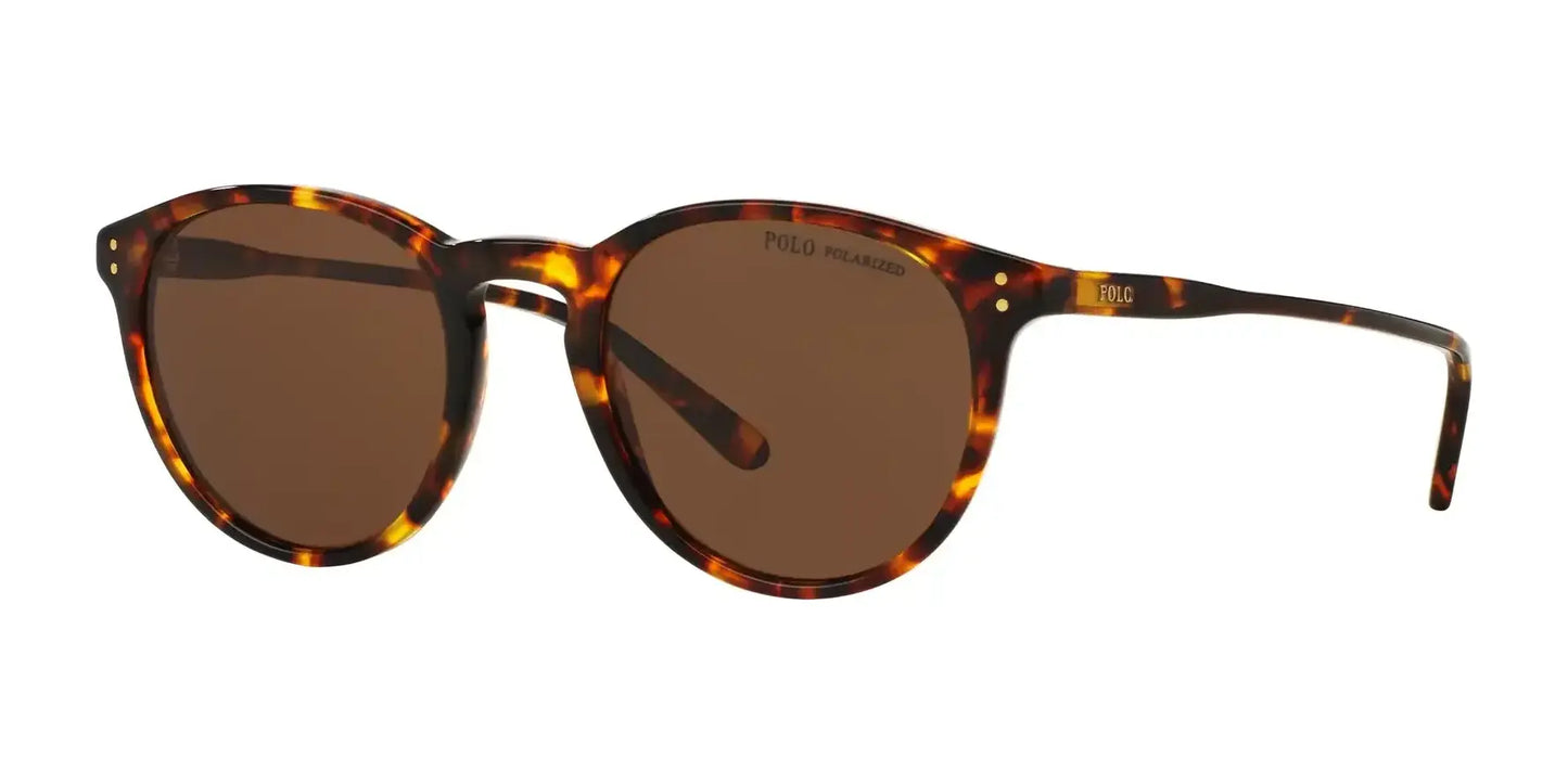 Polo PH4110 Sunglasses Shiny Antique Havana / Polar Brown