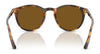 Polo PH4110 Sunglasses | Size 50 / Havana / Brown (3N 14.5%) №513473