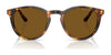 Polo PH4110 Sunglasses | Size 50 / Havana / Brown (3N 14.5%) №513473