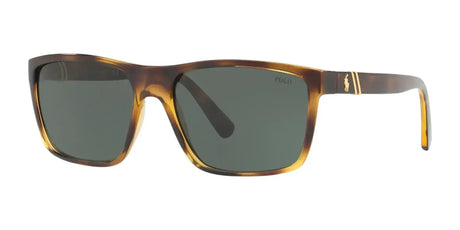 Polo PH4133 Sunglasses Shiny Transparent Dark Havana / Green