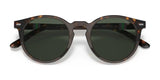 Polo PH4151 Sunglasses | Size 50